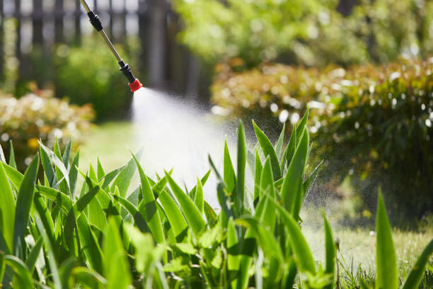 24/7 Emergency Cockroach Control experts in Guntown, MS