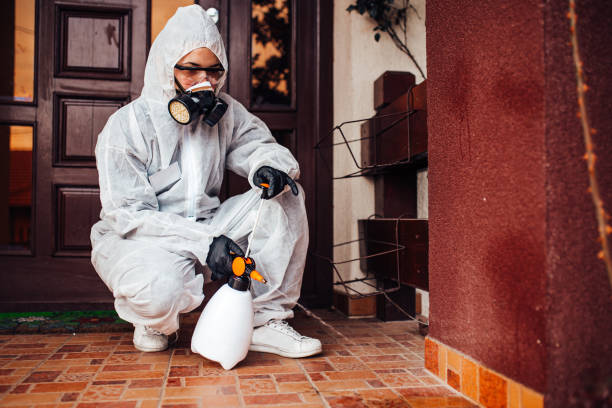 Reliable Cockroach Control contractor in Guntown, MS by Nex Pest Control