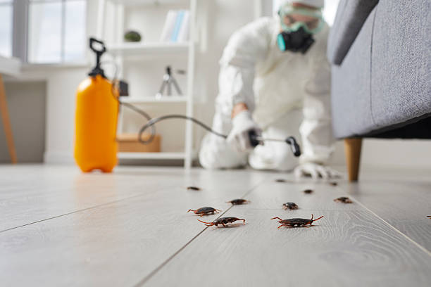 Trusted Cockroach Control service in Guntown, MS - Nex Pest Control