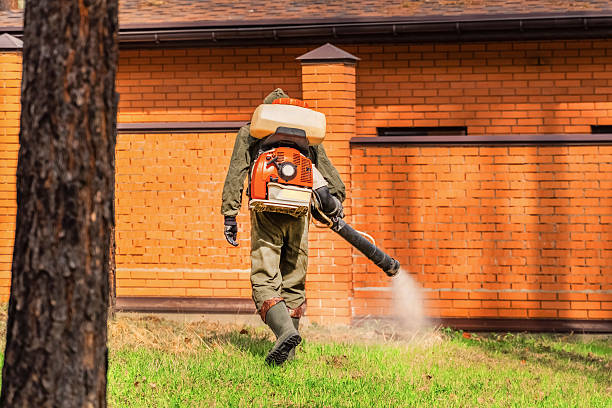 Trusted Termite Control service in Guntown, MS - Nex Pest Control